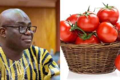 Ghana Launches Plan to Produce 100,000 Tonnes of Tomatoes as Government Targets Self-Sufficiency