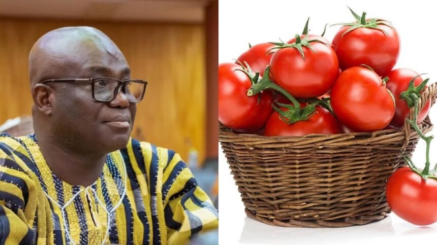 Ghana Launches Plan to Produce 100,000 Tonnes of Tomatoes as Government Targets Self-Sufficiency